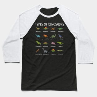 Kids Types Of Dinosaurs T Shirt Dino Identification Tee Baseball T-Shirt